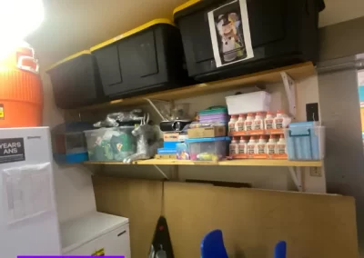 Home Cleaning Services